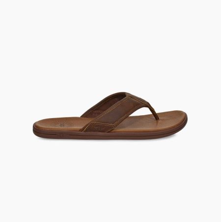 UGG Seaside Leather Brown Flip Flops for Men (KDBZ53460)